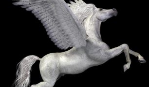 Pegasus