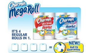 charmin_mod3_mega_06242010_B002KHNL5C